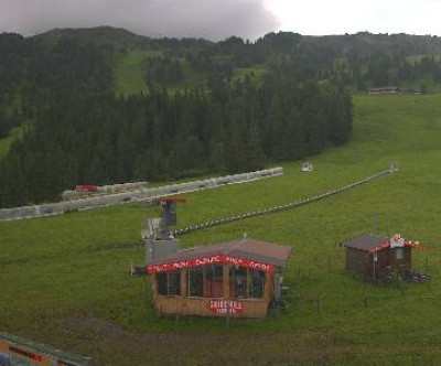 Singletrail Zillertal Arena / Tirol